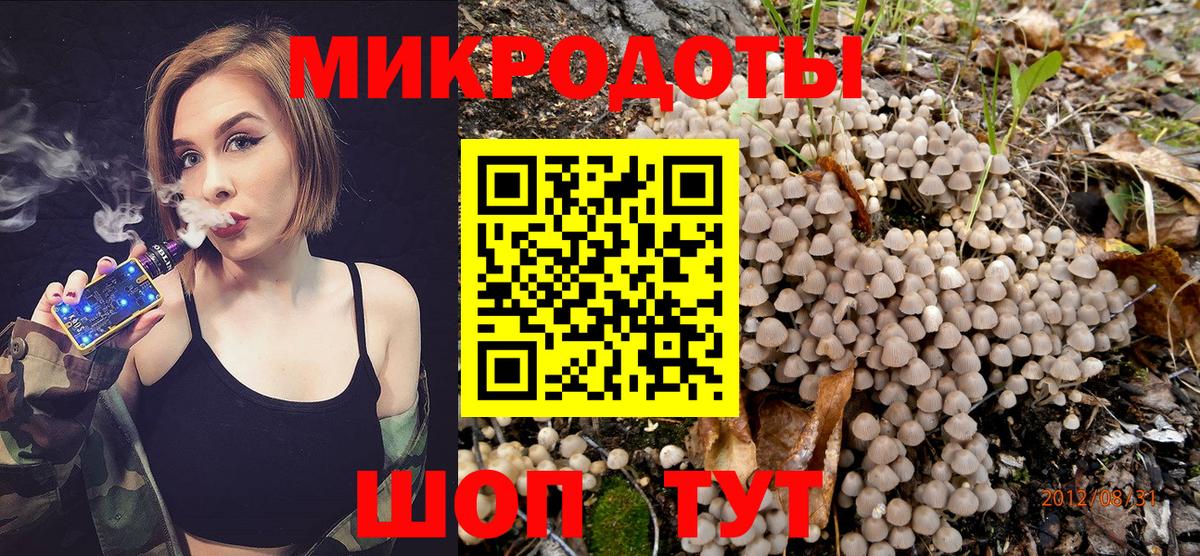 Псилоцибиновые грибы мицелий Чистополь